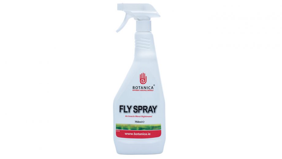 Best Fly Spray